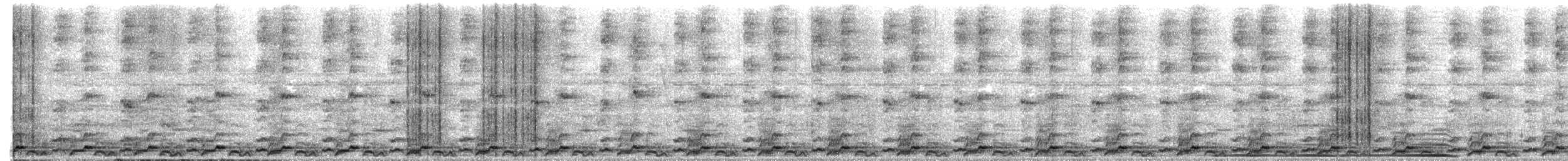 Черноухий зубцеклювый перепел - ML621204073