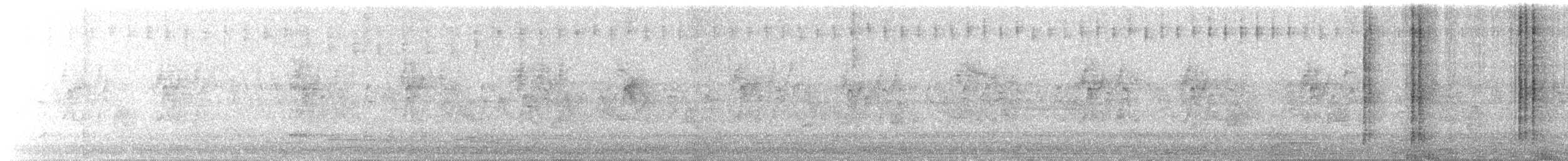 Ширококлювый колибри - ML621205217