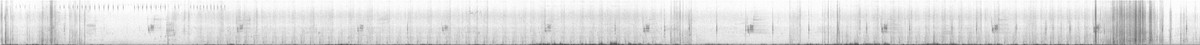 Приморская овсянка-барсучок - ML621205712