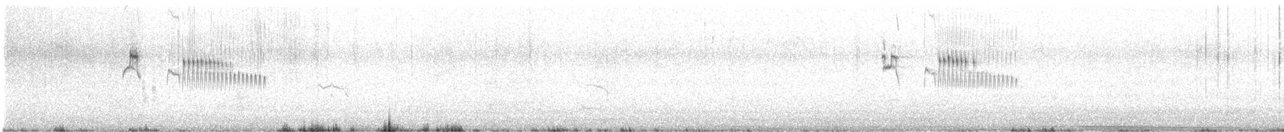 Grauscheitel-Kleintyrann - ML621206310