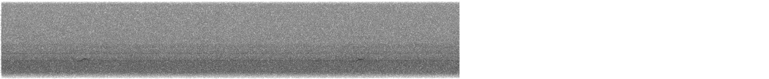 Дрізд-короткодзьоб Cвенсона - ML621208174