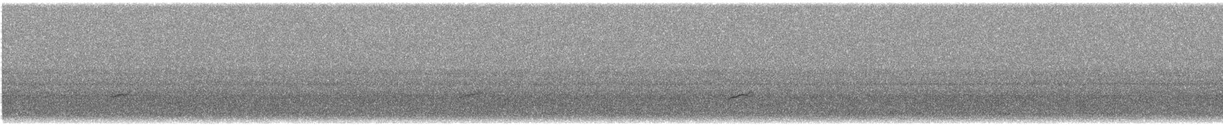 Дрізд-короткодзьоб Cвенсона - ML621208176