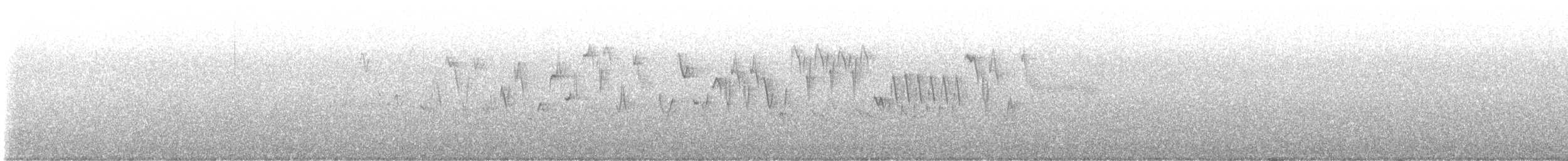 Troglodyte de Baird - ML621208314