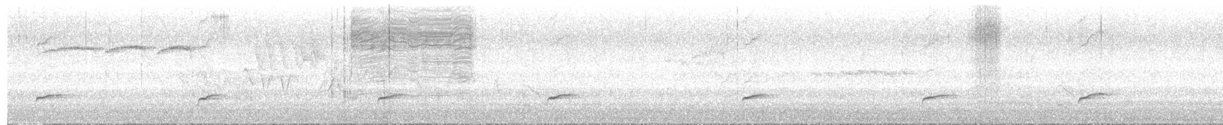 Дрізд-короткодзьоб Cвенсона - ML621208880