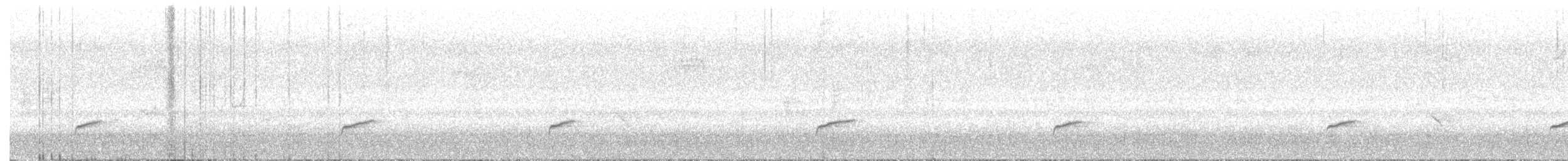 Дрізд-короткодзьоб Cвенсона - ML621208889