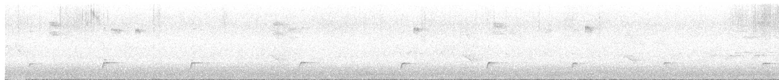 Дрізд-короткодзьоб Cвенсона - ML621208901