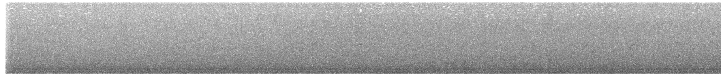 Mirlo Acuático Norteamericano - ML621209072