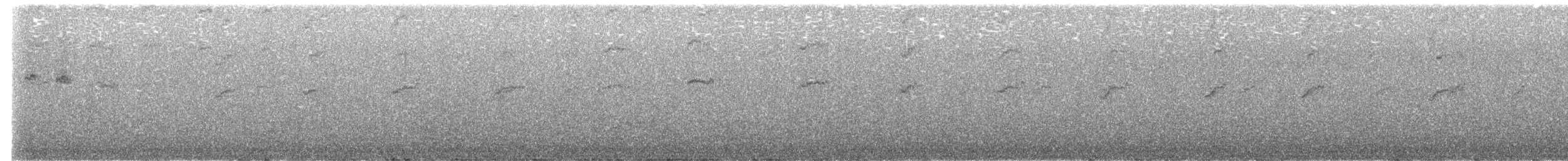 Mirlo Acuático Norteamericano - ML621209073