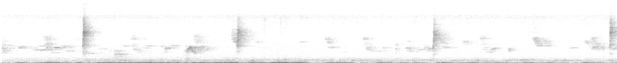 svartnakkevever - ML621209187