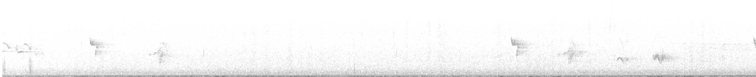 ネズミメジロハエトリ - ML621211898