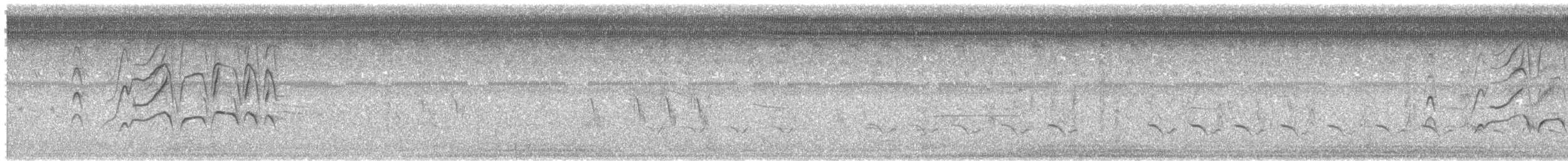 Kara Karınlı Islıkçı Ördek - ML621213352