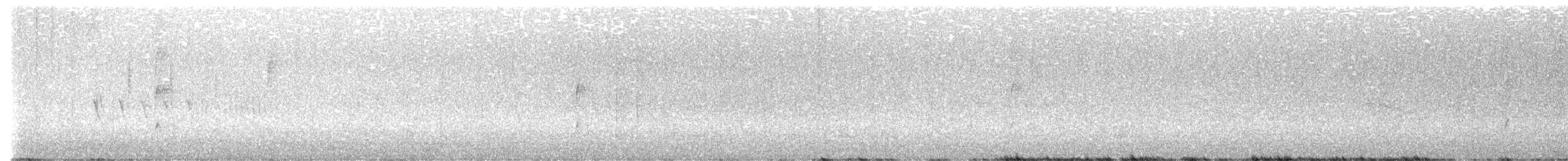 Черноголовый толстонос - ML621213966