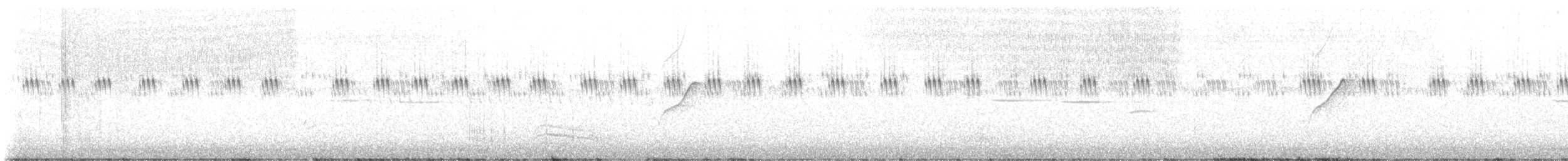 Moucherolle obscur - ML621214134