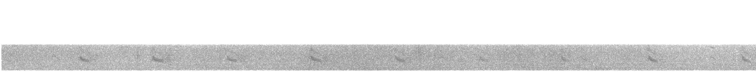 שחפית שחורת-אוזן - ML621215296