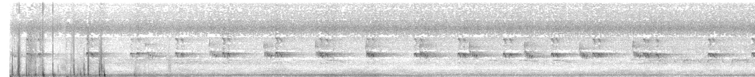 Каролинский крапивник - ML621215981