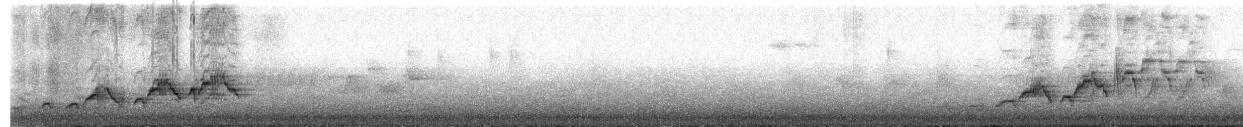 Дрізд-короткодзьоб Cвенсона - ML621216240