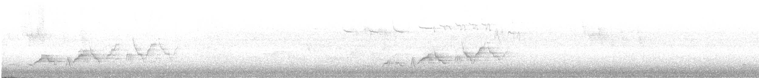 Дрізд-короткодзьоб Cвенсона - ML621216594