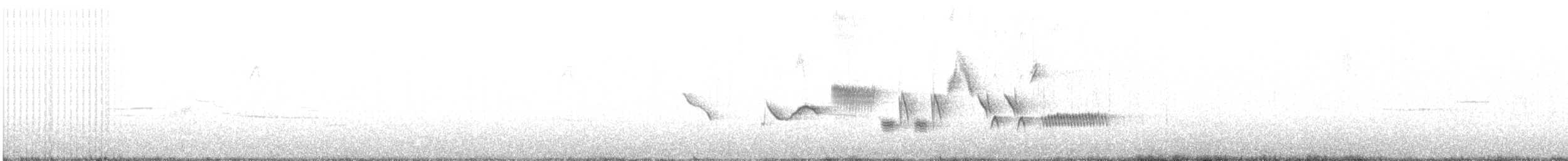 ゴマフスズメ（schistacea グループ） - ML621216611