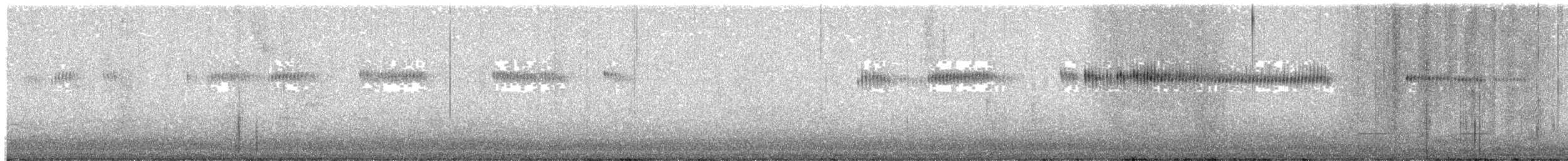 Широкохвостый колибри - ML621217113