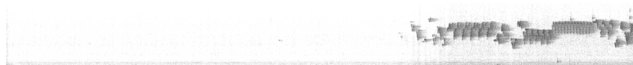 Troglodyte de Baird - ML621219196