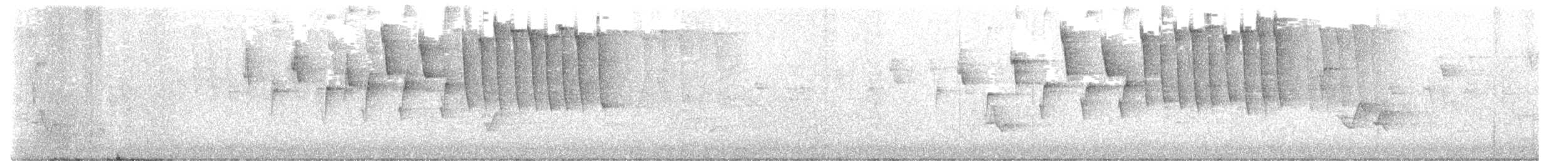 Tennessee Warbler - ML621219345