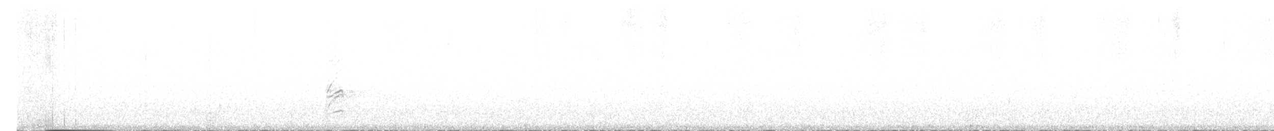 Magellandrossel - ML621219498