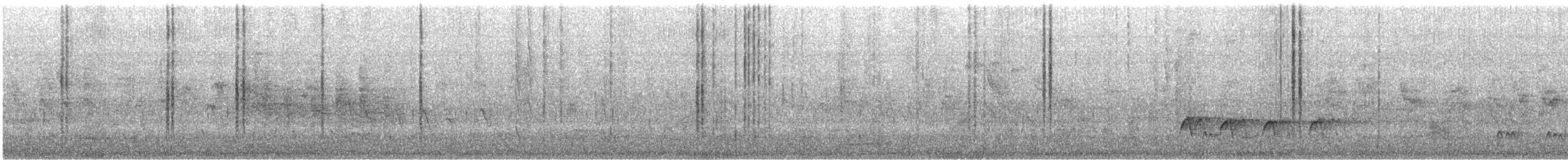 Цинантус синьогорлий - ML621220100
