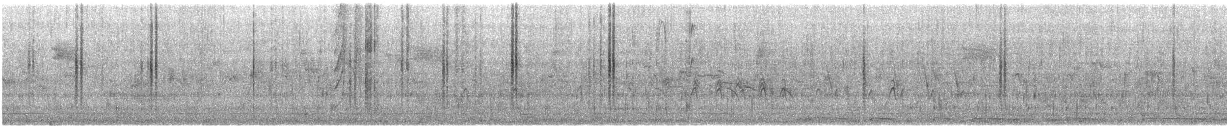 Цинантус синьогорлий - ML621220101