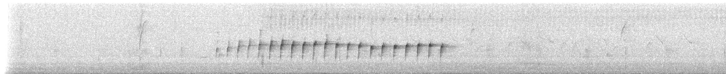 Тиранчик-довгохвіст білогорлий - ML621220128