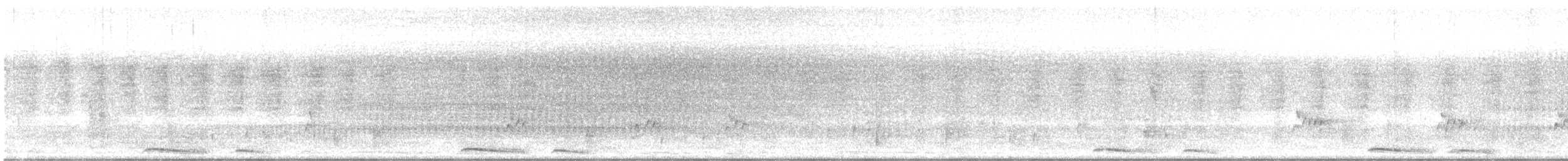 holoubek mexický - ML621220957