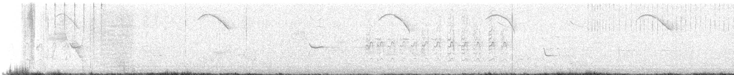 Crécerelle d'Amérique - ML621221506