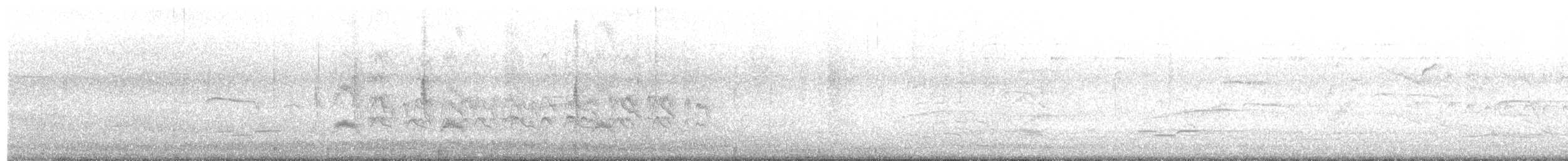 Серогрудый тиранн - ML621221681