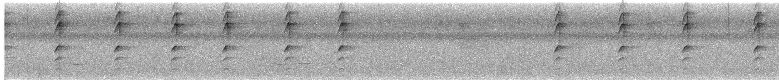 Зелёный колибри-отшельник - ML621222616