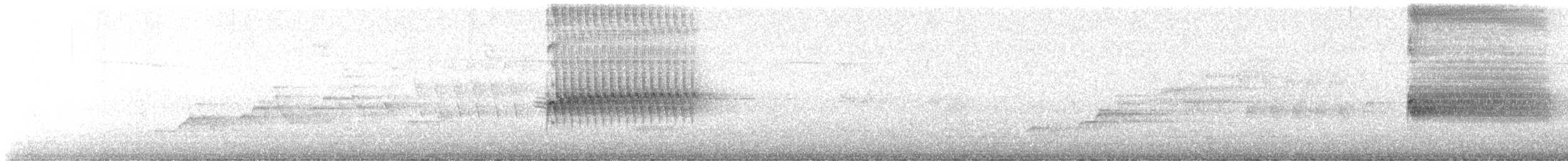 Тауї плямистий - ML621222830