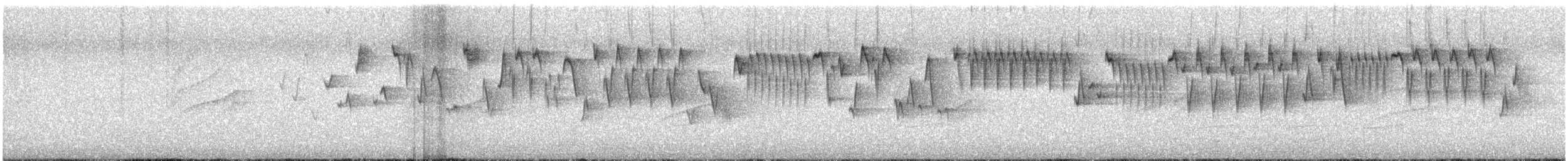 Troglodyte de Baird - ML621223649