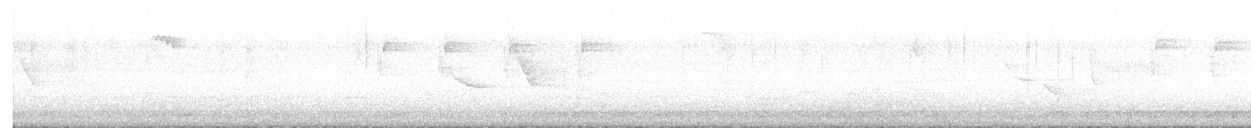 Трупіал чорнокрилий - ML621223794
