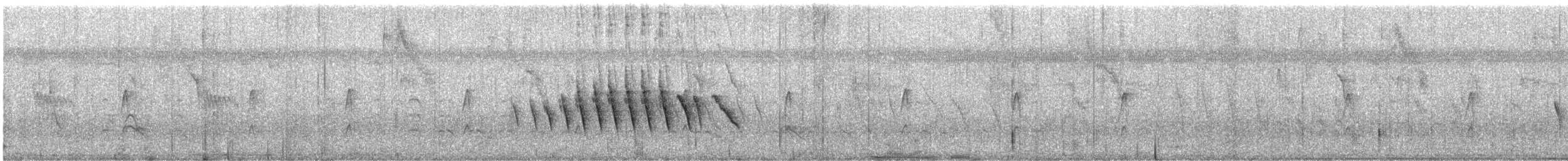 キタホオジロヒメウソ - ML621225771