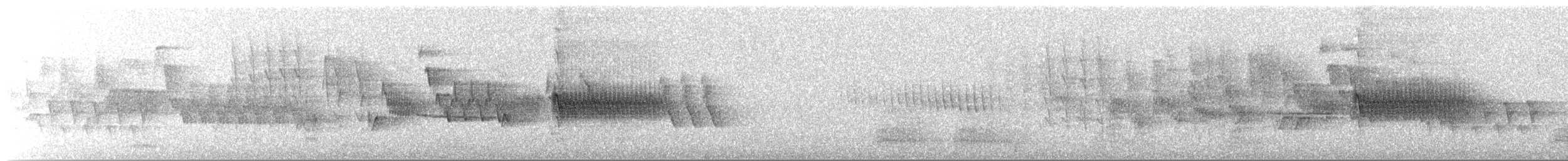 Тауї плямистий - ML62122881