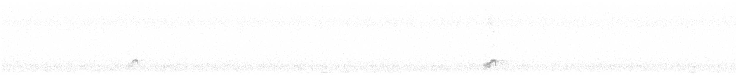 Дрімлюга звичайний - ML621229188