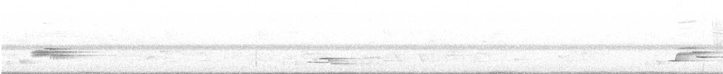 Wood Thrush - ML62122921