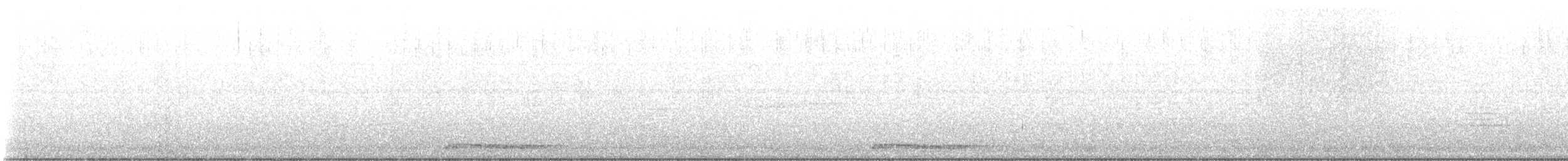 holoubek vlnkovaný - ML621229497
