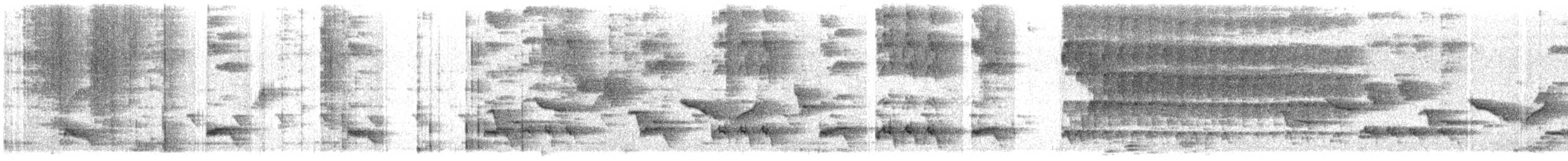 Pied Cuckoo - ML621231275