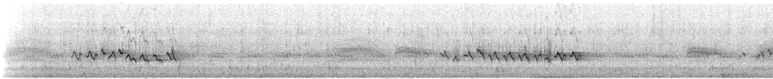 Белокрылая канделита - ML621231326