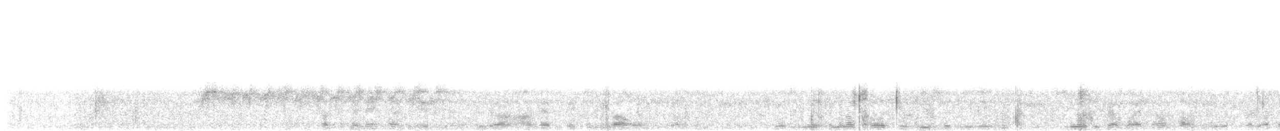 Тиранчик-тонкодзьоб південний - ML621231381