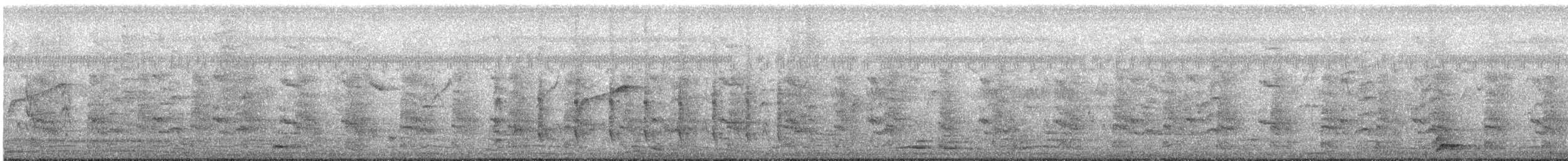 Râle à collier - ML621231528