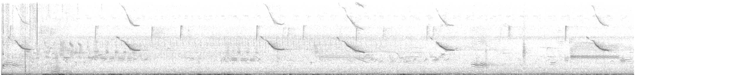 Red-winged Blackbird - ML621232750