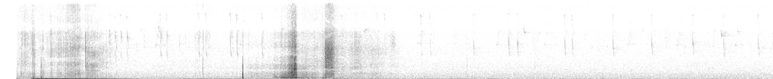 White-eared Hummingbird - ML621238227