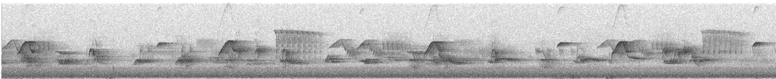 Batı Amerika Sinekkapanı (occidentalis/hellmayri) - ML621238493