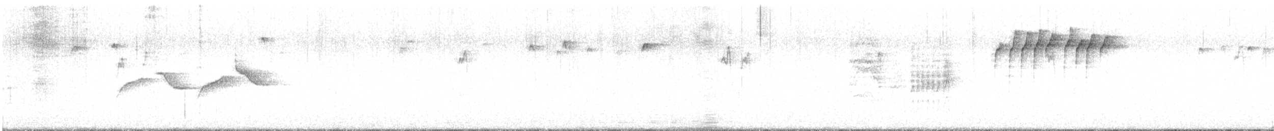 sýkora uhelníček (ssp. britannicus/hibernicus) - ML621238668