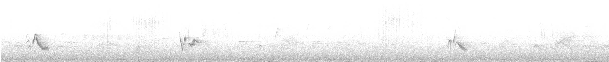 Cassin's Vireo - ML621238932